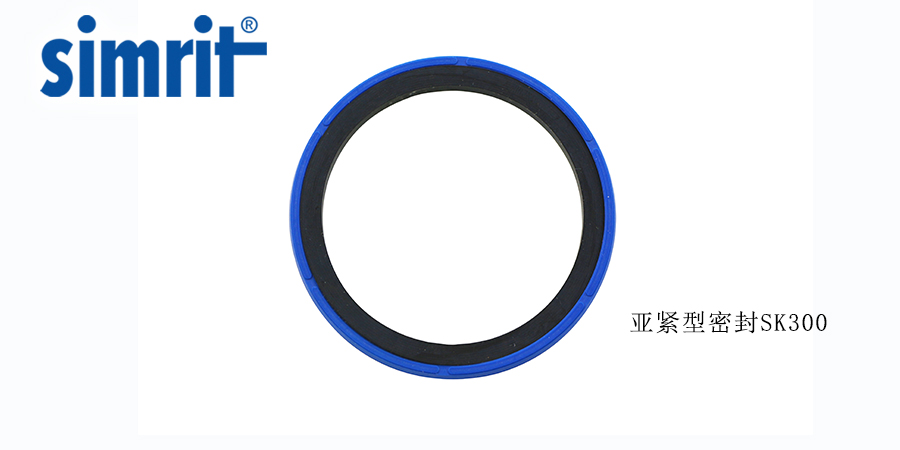德國旋轉(zhuǎn)骨架油封，讓密封效果更好